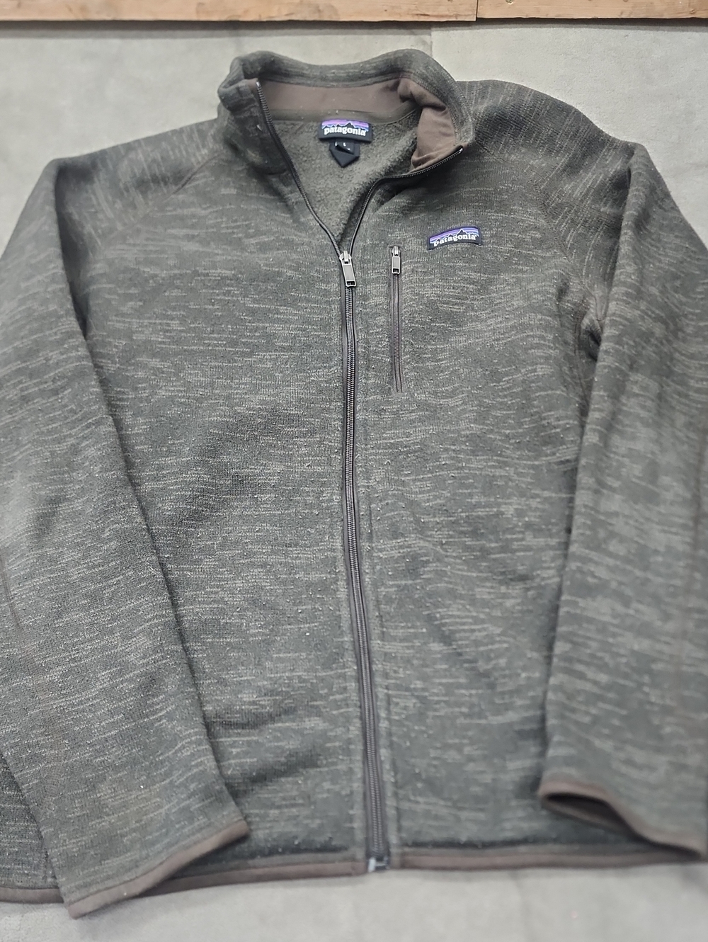 Patagonia Men's Full-Zip Jacket in Olive